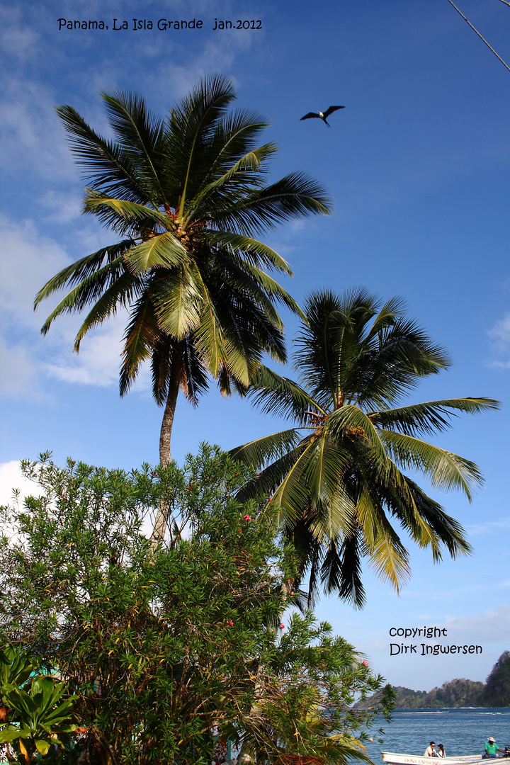 Panama, La isla grande