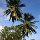 Panama, La isla grande