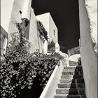 Panarea I