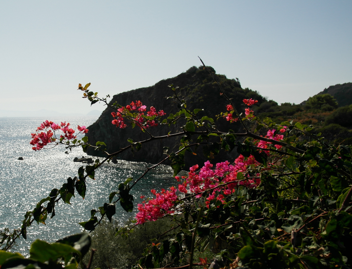 Panarea´s Flora