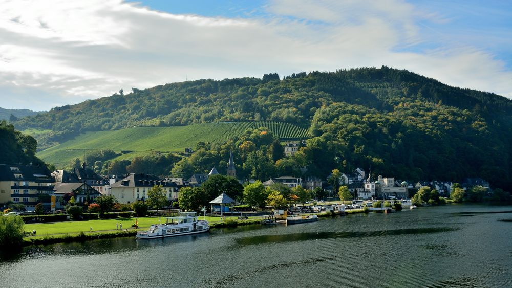 Panaroma über der Mosel in Traben-Tarbach.