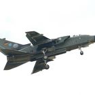 Panavia Tornado IDS (98+60)