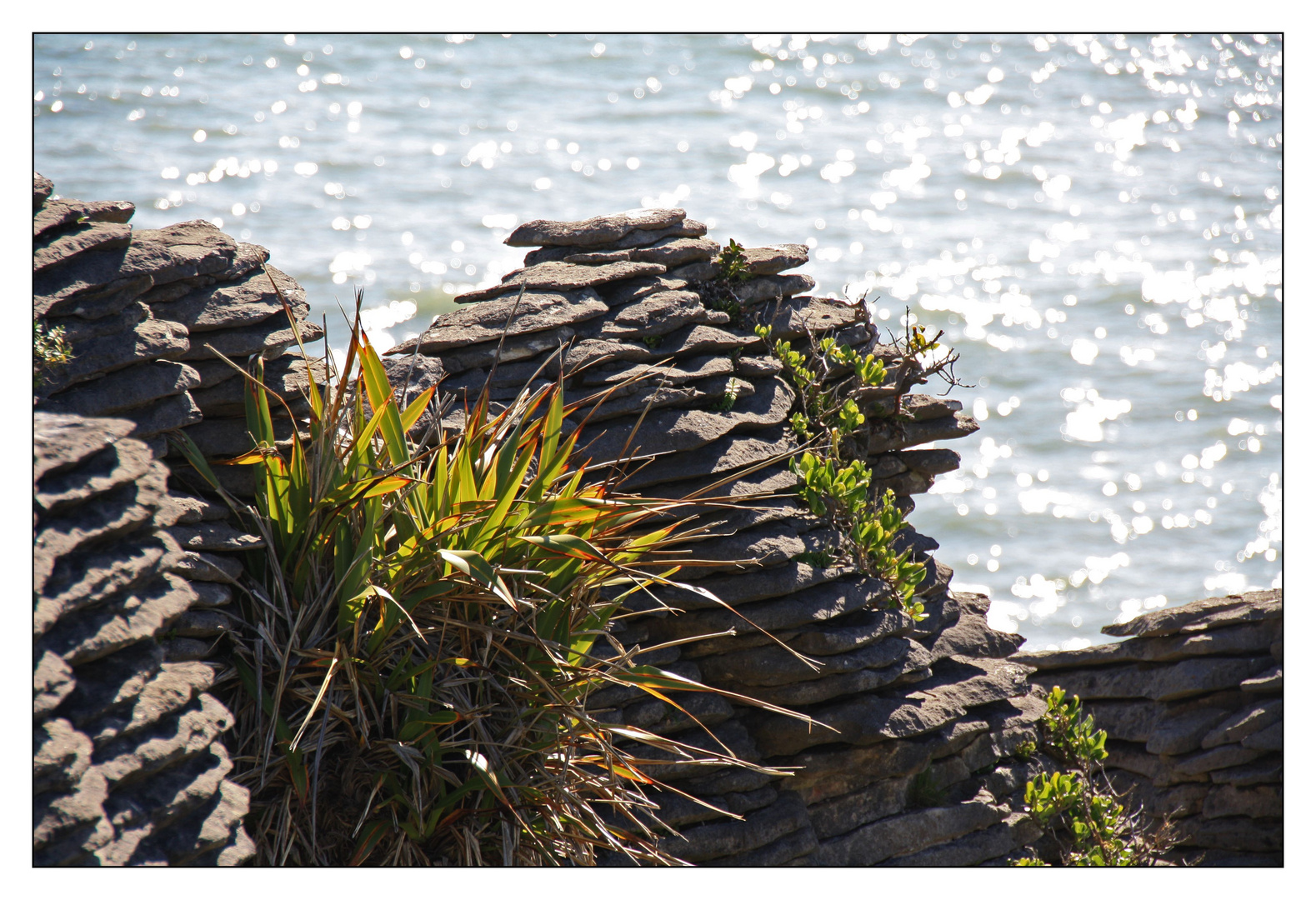 ~ Pancake Rocks ~