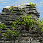 Pancake Rocks