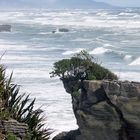 Pancake Rocks ...