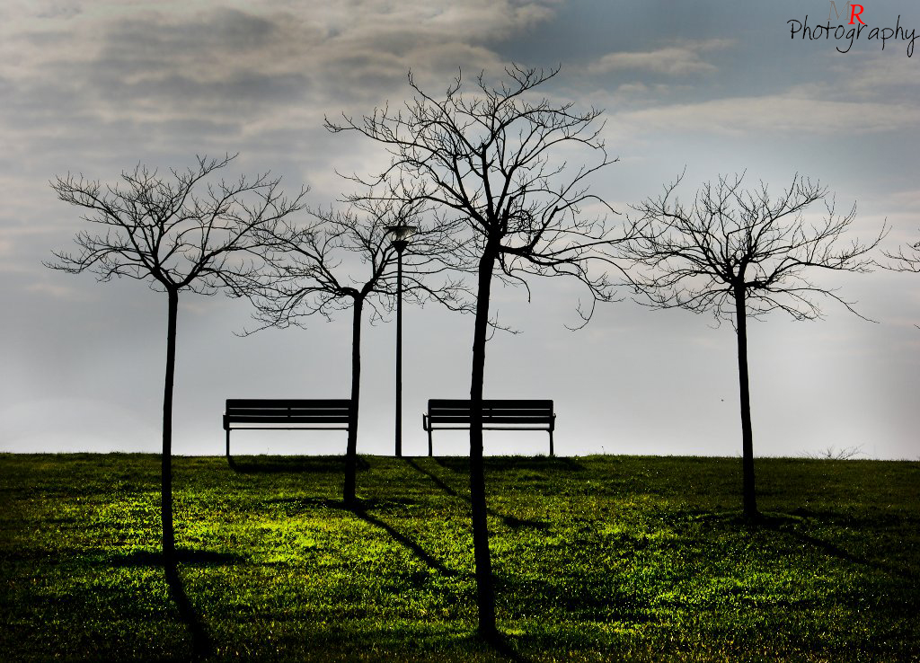 Panchine a San Giuliano