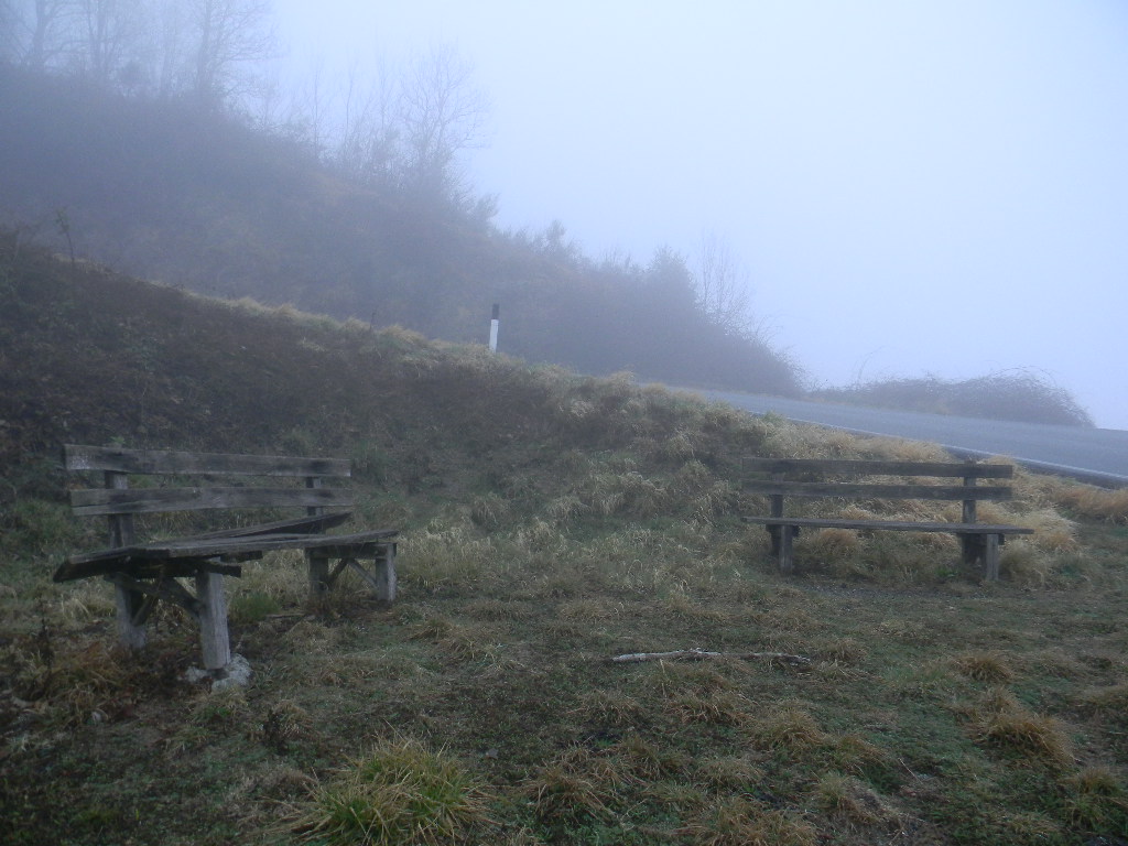 panchine e nebbia