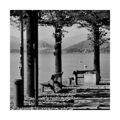 Panchine sul lungolago