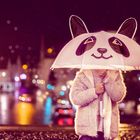 Panda in der Stadt