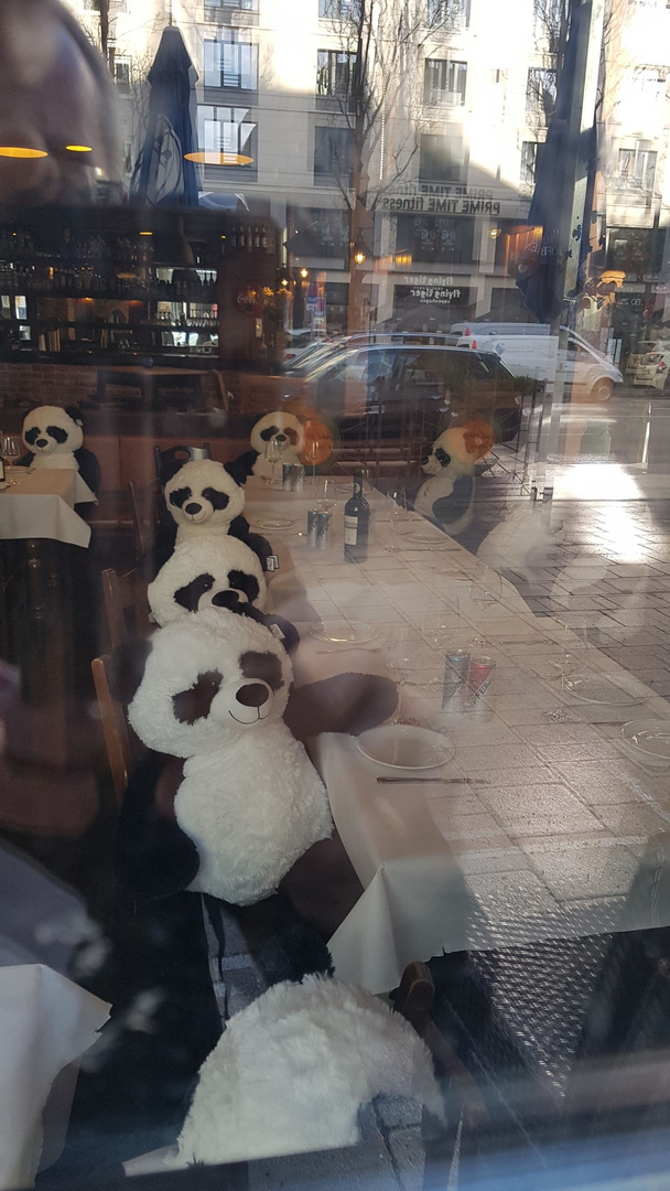 Pandagesellschaft
