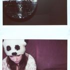 pandalove.