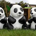 Pandas goes to Germany