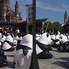 Pandas in Mainz