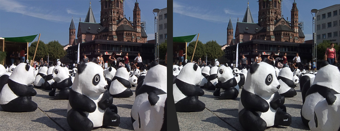 Pandas in Mainz