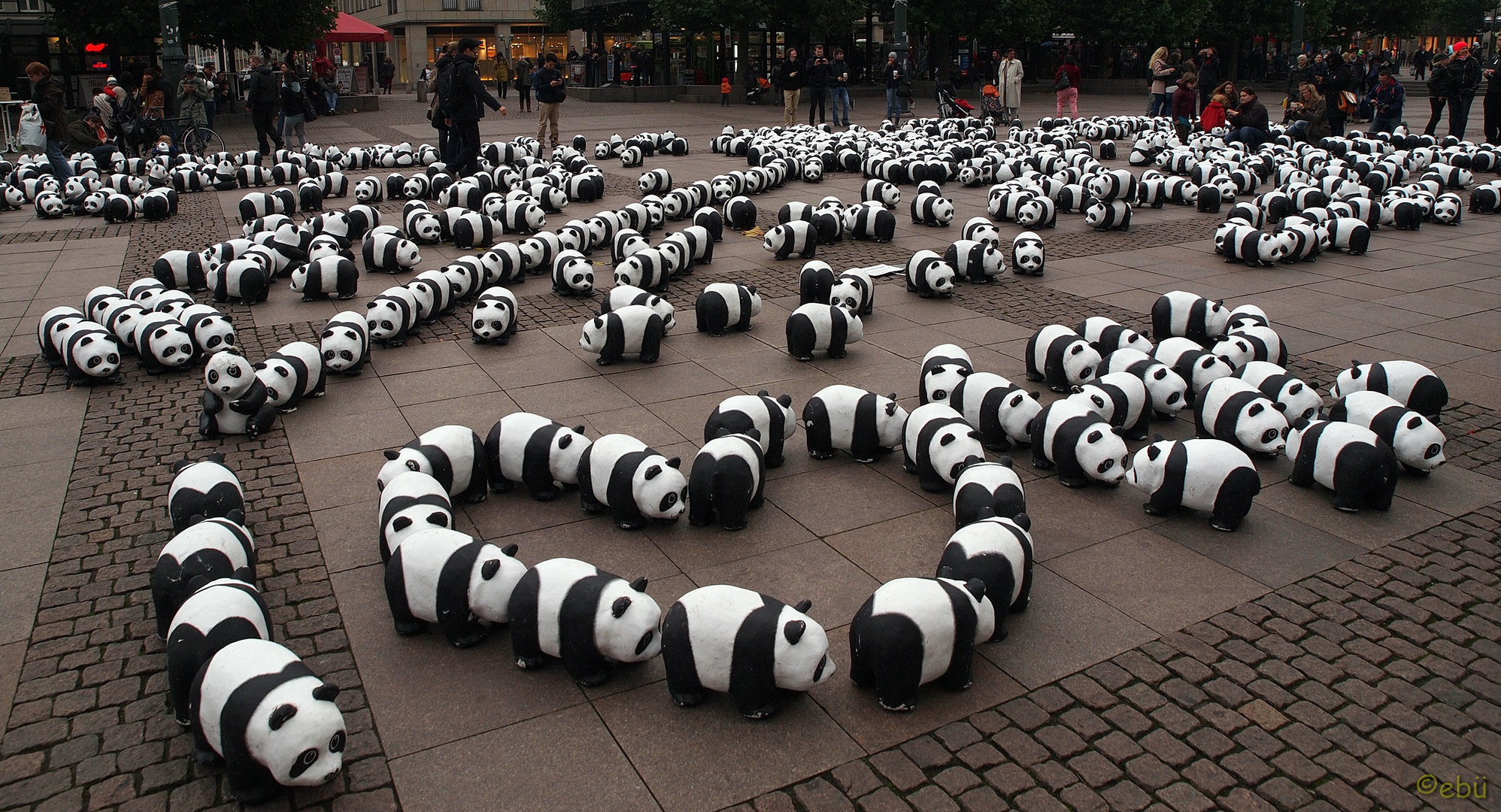 ~ Pandas on Tour ~