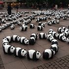 ~ Pandas on Tour ~