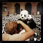 Pandas on Tour