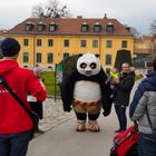 Pandawerbung im Tiergarten von Schönbrunn