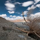 Pangong Lake