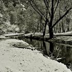 Panke im Schlosspark mit SCHNEE?