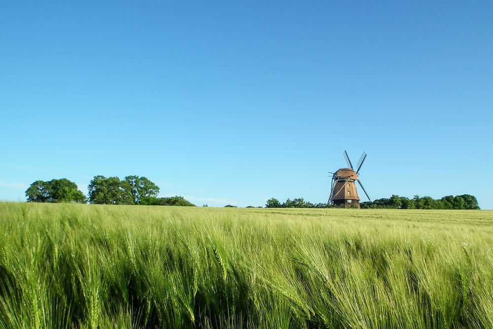 Panker Windmühle