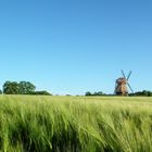 Panker Windmühle