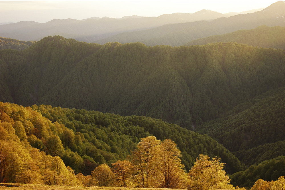 Pankisi mountains