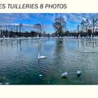 PANNO DE 8 PHOTOS DE L' ETANG DU JARDIN DES TUILLERIES A PARIS