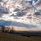 Pannonische Impression