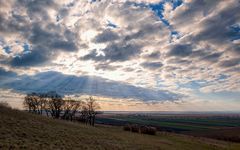 Pannonische Impression