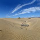 pano 360º playa Maspalomas