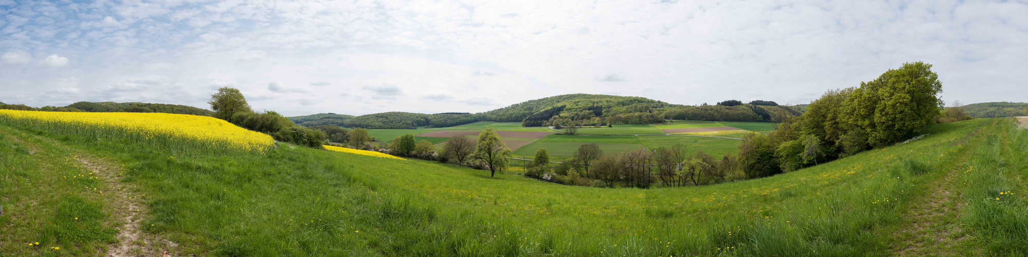 Pano am Mittag