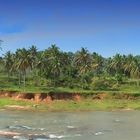 Pano aus Sri Lanka