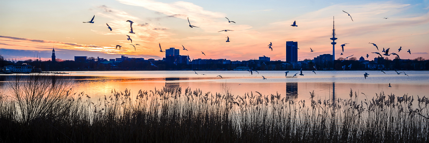 Pano Außenalster abends