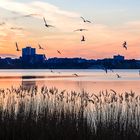 Pano Außenalster abends