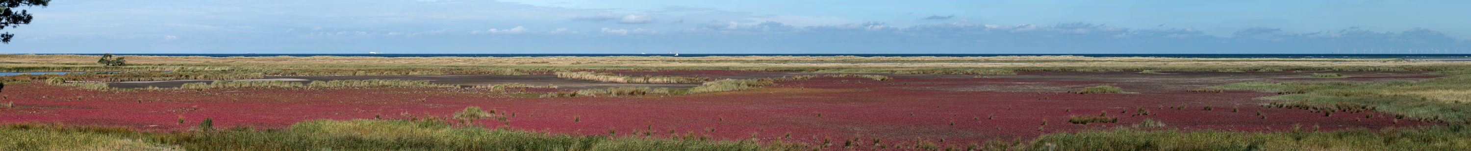 Pano Darßer Ort