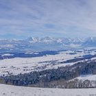 Pano der Berner Alpen