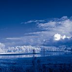 Pano: Flooded Fields [IR]