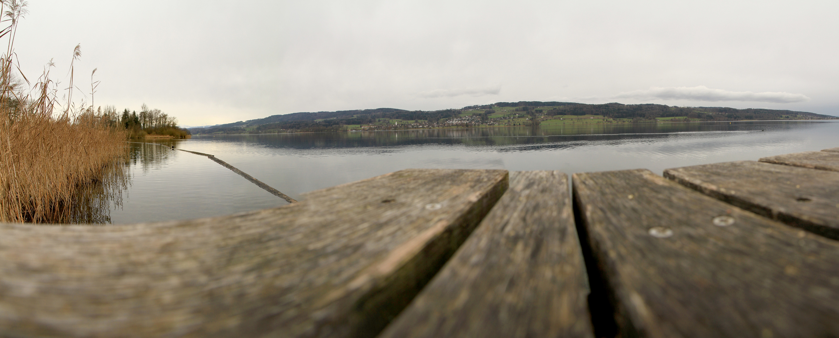 'Pano' Greifensee