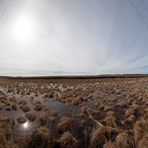 Pano Grosses Moor,  Gegenlicht