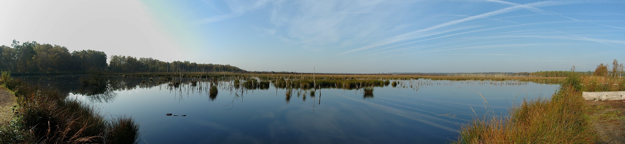 Pano - Heute Mittag im Himmelmoor (Reload)