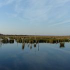 Pano - Heute Mittag im Himmelmoor (Reload)