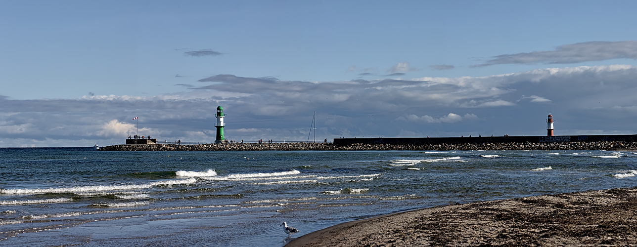 Pano mit Möwe