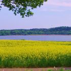 "Pano" Pönitz am See !!