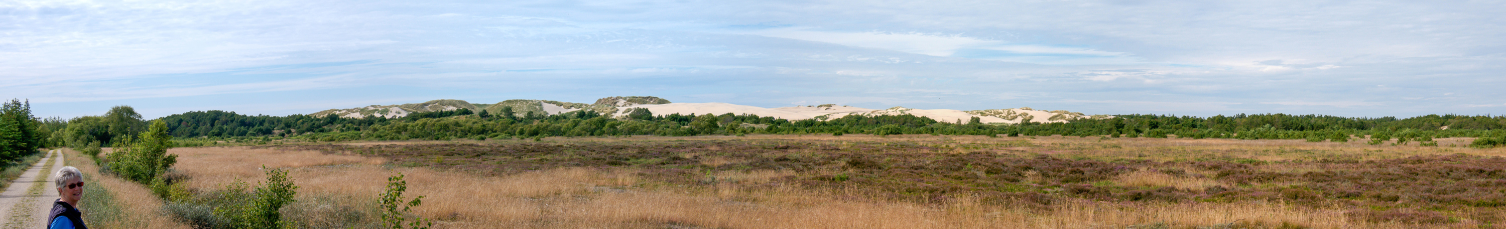 Pano Rabjerg Mile