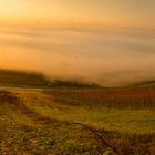 Pano - Sonnenaufgang über der Kreuzkapelle b. Gau-Bickelheim/'Rhh. u. Umgebung