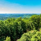 Pano-Unbearbeitet-Blick im Pfälzer Wald.*