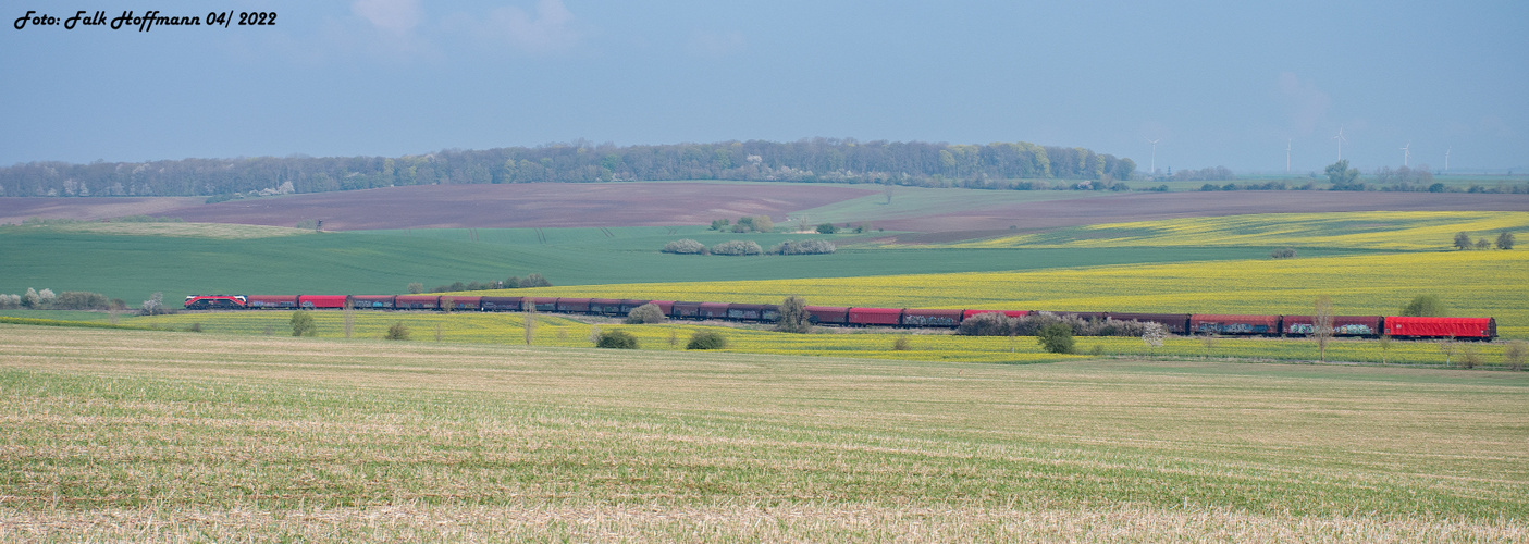 Pano-Versuch