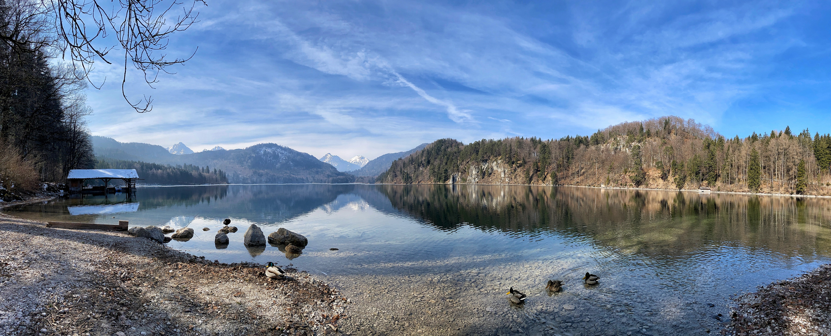 Pano vom Alpsee