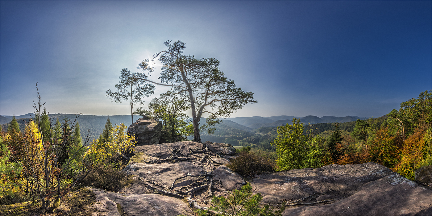 pano vom krappenfels